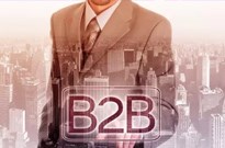 贝塔：2016Q1中国中小企业B2B平台服务营收同比略增