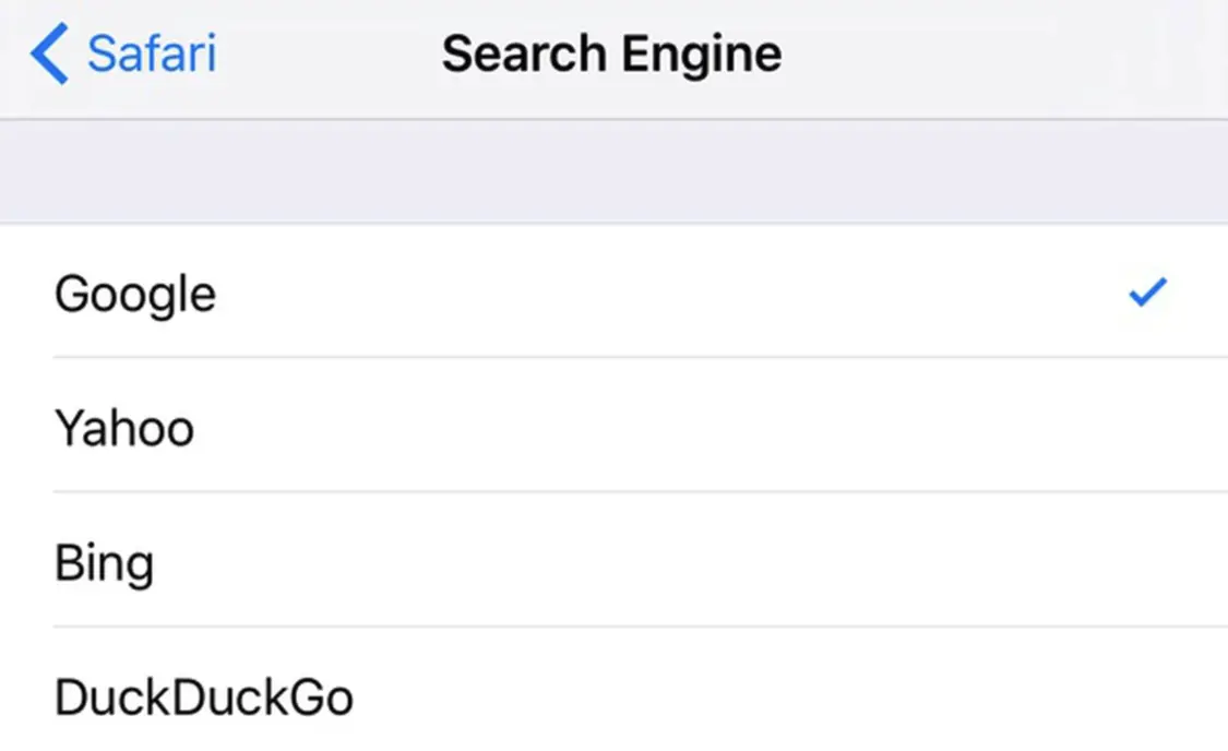Safari提供的四个搜索引擎选项